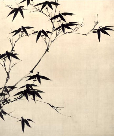 bamboo tree