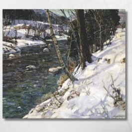 brook by the forest