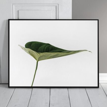 leaf nature painting