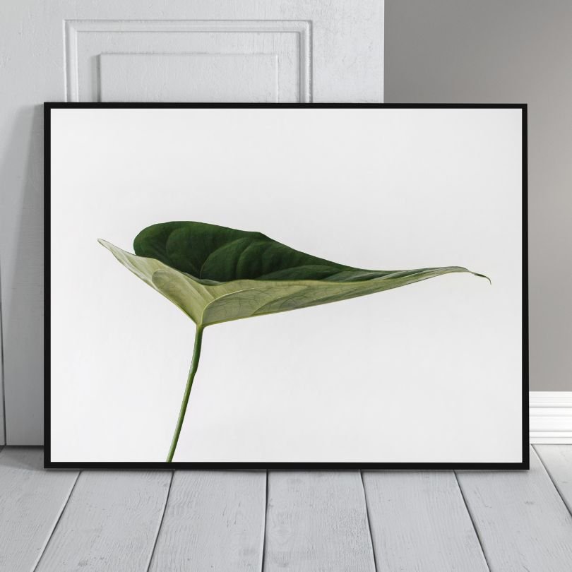 Green Leaf (Photo Art) - Studio BAC | Online Art Gallery | Bombay Art ...