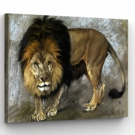 lions-stare-w