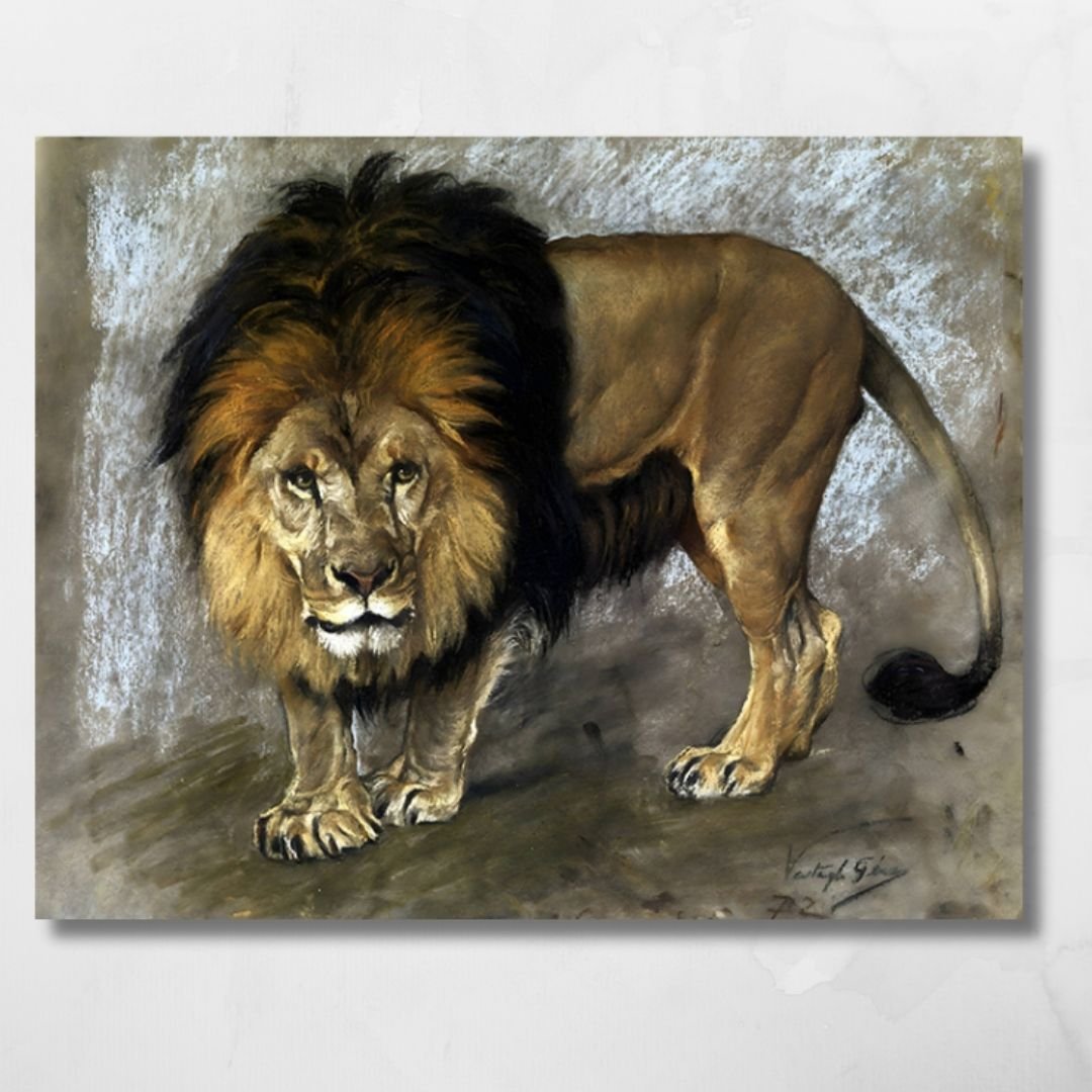 lions stare