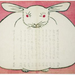 rabbit