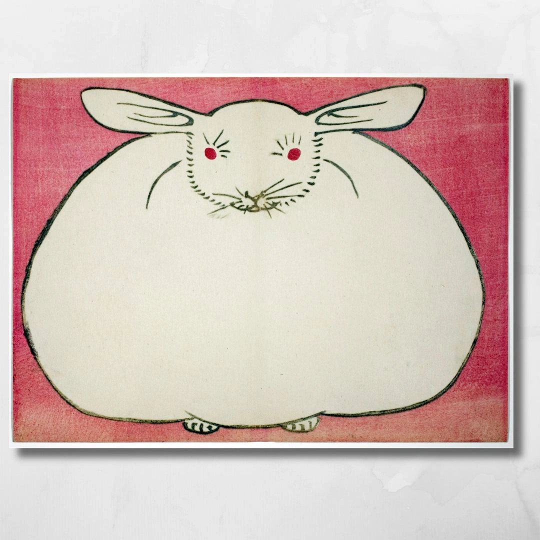 rabbit p