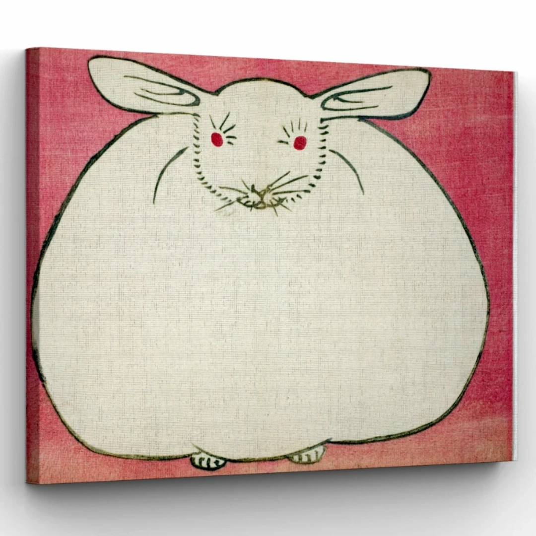rabbit-w