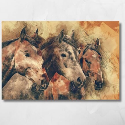 horses