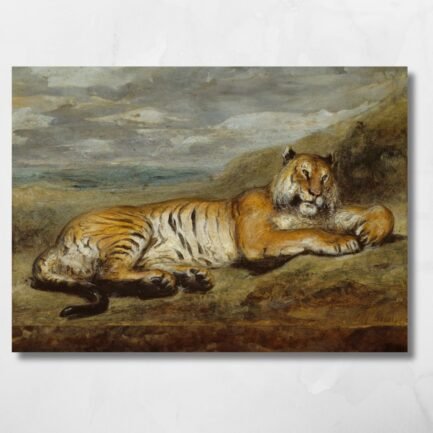 tiger resting
