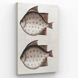 two fish