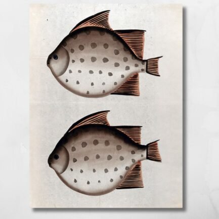 two fish