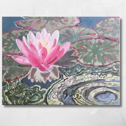 water lilly