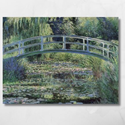 water lilly pond