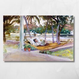 man in the hammock