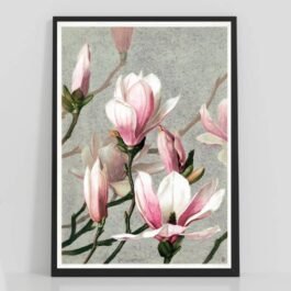 magnolia