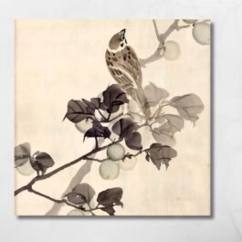 sparrow
