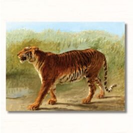 tiger royal march