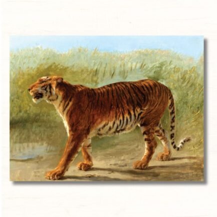 tiger royal march