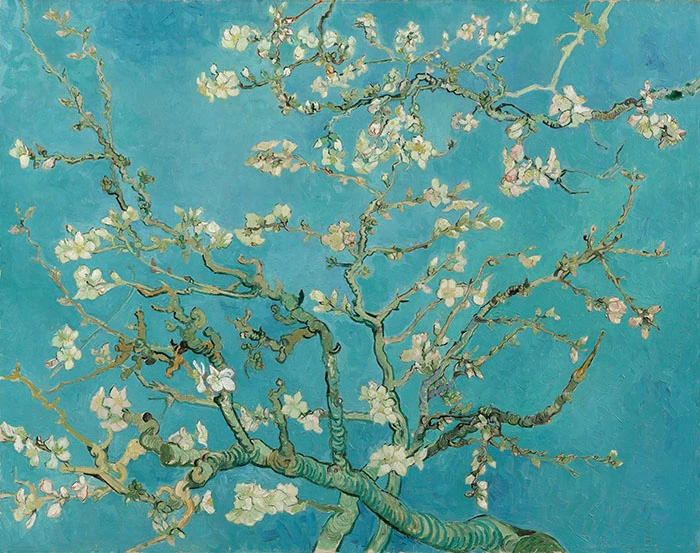 Van Gogh Almond Blossom