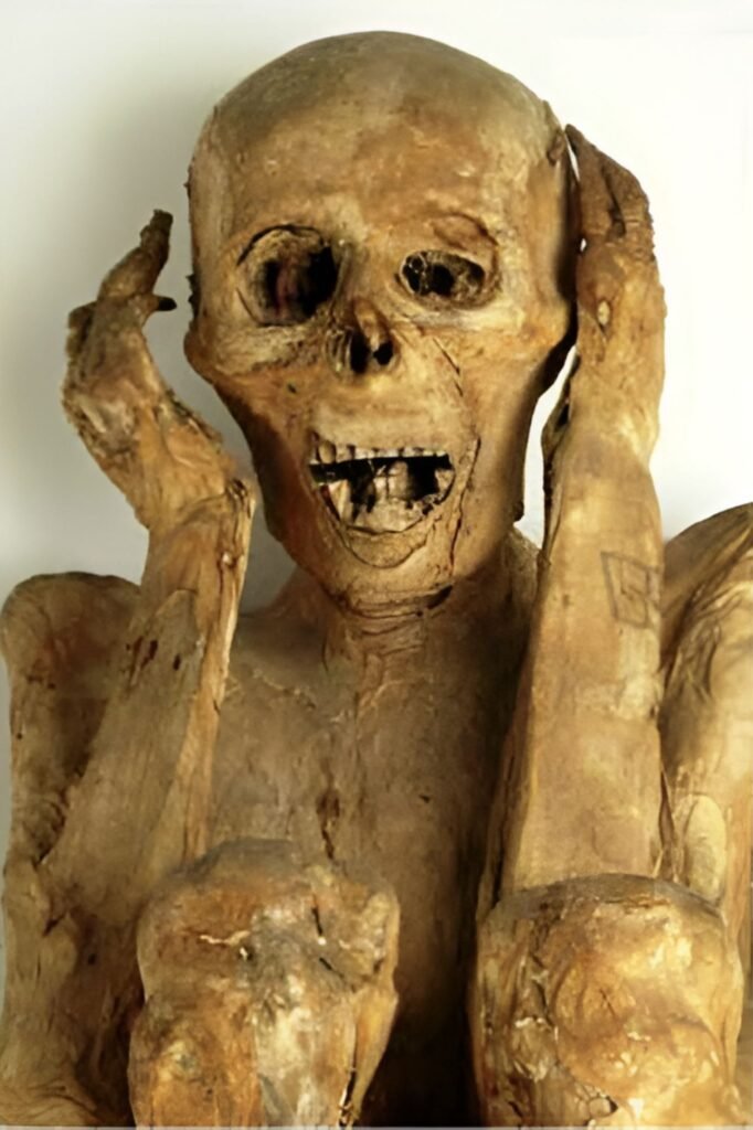 mummy resized
